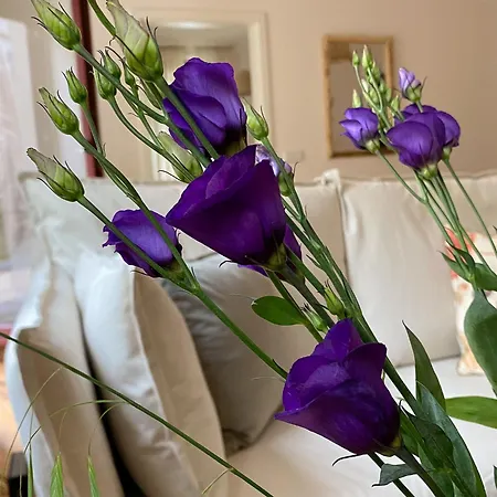 Wunderschoenes Terrassen-appartement Leipzig