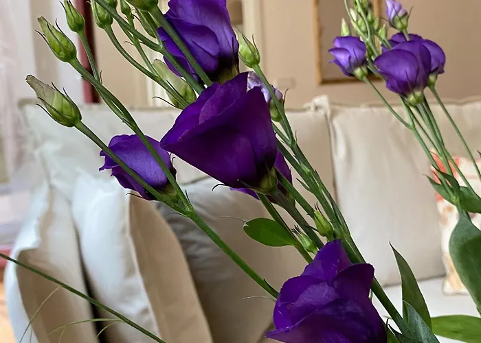 Wunderschoenes Terrassen-appartement لبسيا